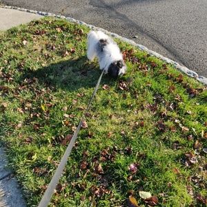 Meet your Posher, Anuja